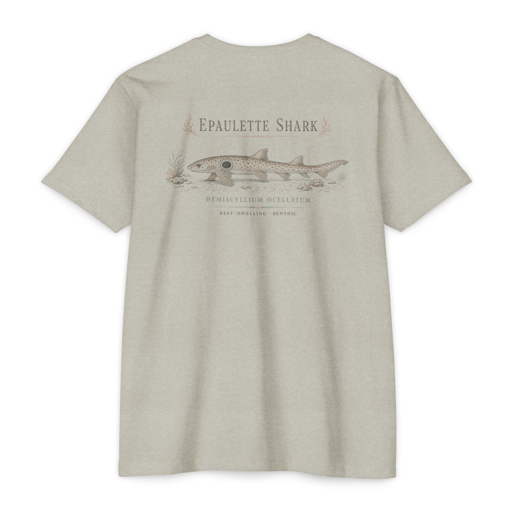 Epaulette Shark Coastal Field Guide Tee